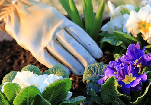 Various plant species used in Waterloo landscape gardening