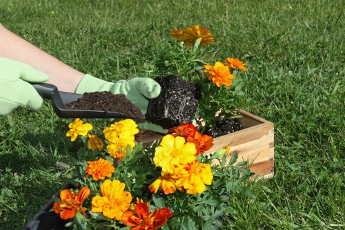 Vibrant flowerbed designed by Gardeners Waterloo