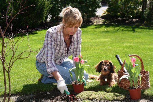 Professional Gardeners Waterloo team working on a landscape project